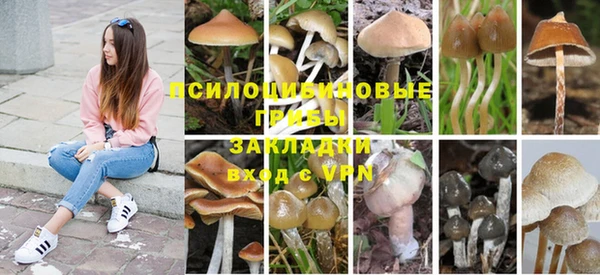 МДПВ Балахна