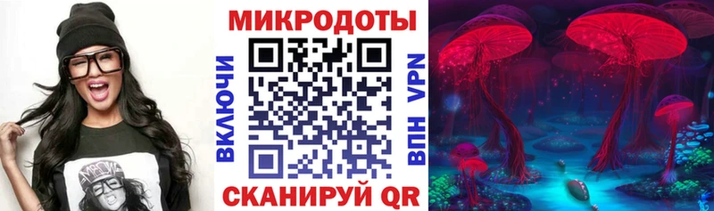 купить закладку  Вуктыл  Псилоцибиновые грибы Psilocybe 