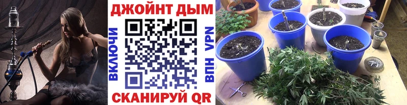Шишки марихуана конопля Вуктыл